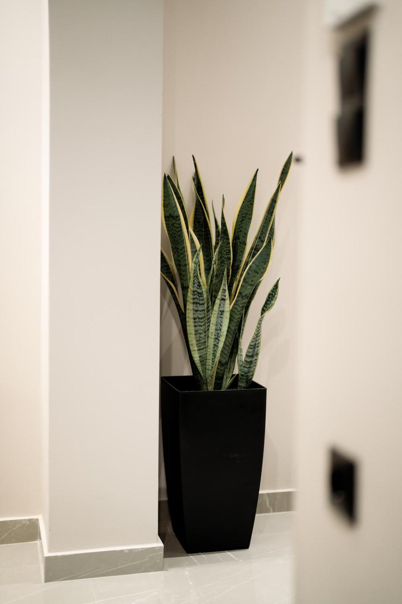Elegance Lofts Kavala Apartment Bagian luar foto